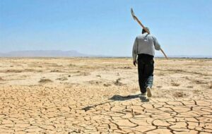 پرداخت 250 میلیارد تومان از خسارت‌های خشکسالی به کشاورزان گلستانی