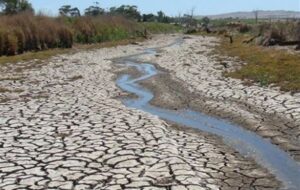 چالش‌های پیچیده‌‌ زیست‌محیطی در غرب ایران/ بحران تله اقلیم!