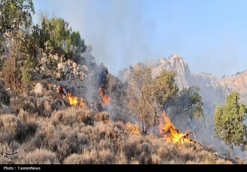 اخبار کرمانشاه , اخبار استان کرمانشاه , 