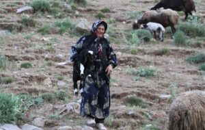 11 هزار مستمری‌بگیر همدان کمک معیشتی و عیدی دریافت کردند