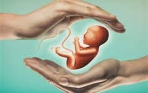 2800 زوج نابارور در استان مازندران نشان‌دار شد‌