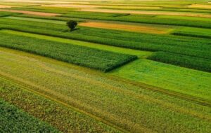 اخلاق محیط‌زیستی؛ پیش‌شرط توسعه کشاورزی پایدار