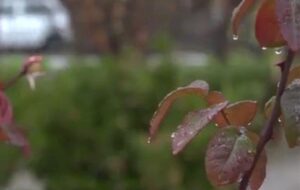 بارش‌های امیدآفرین در آذربایجان‌شرقی؛ جهش 137 درصدی