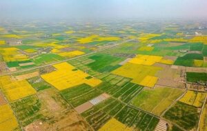 بازگشت 437 هکتار از اراضی ملی استان یزد به بیت‌المال ‌