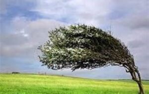 ثبت 97 کیلومتر بر ساعت وزش باد در گرمی