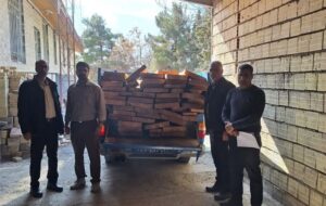 دو تن چوب راش  قاچاق در ملایر توقیف شد