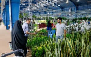 راز موفقیت اقتصادی یک روستای شمال؛ کسب‌و‌کار زنان میارکلایی چیست؟