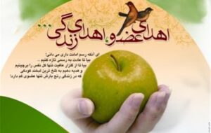 سی و دومین اهدای عضو سال جاری در یزد رقم خورد