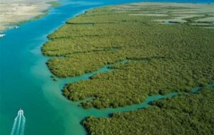 شهرداری‌های هرمزگان برای اسکان موقت گردشگران آمادگی کامل داشته باشند