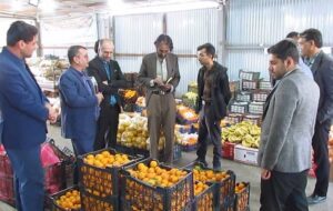 عرضه کالاهای اساسی در 11 سکوی تنظیم بازار میبد