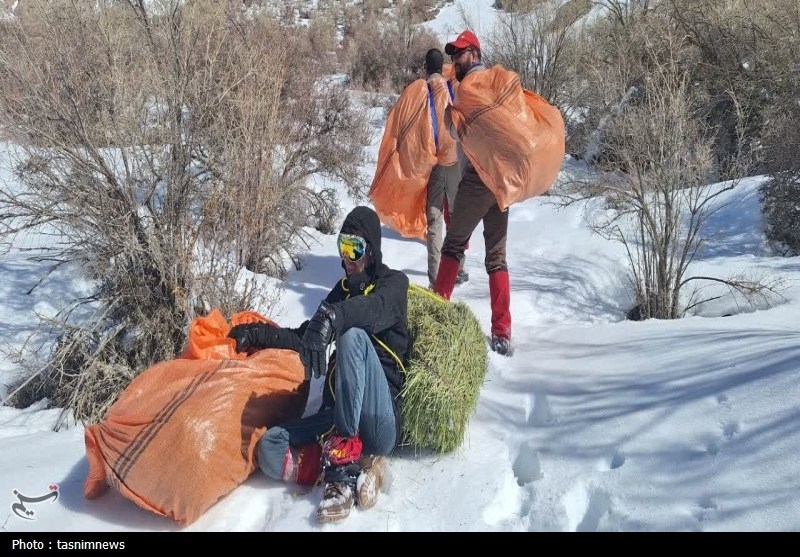 پایش و نظارت در محیط زیست , اخبار استان کهگیلویه و بویراحمد , 