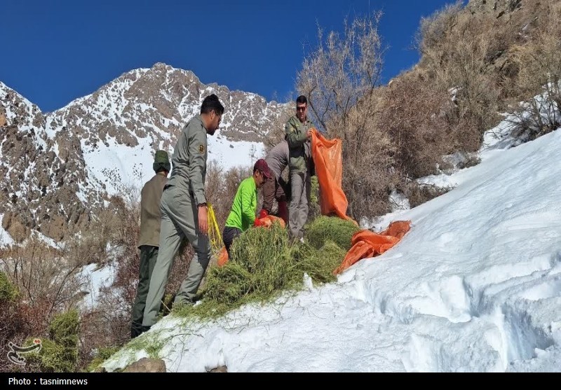 پایش و نظارت در محیط زیست , اخبار استان کهگیلویه و بویراحمد , 