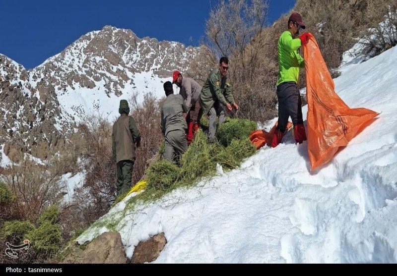 پایش و نظارت در محیط زیست , اخبار استان کهگیلویه و بویراحمد , 