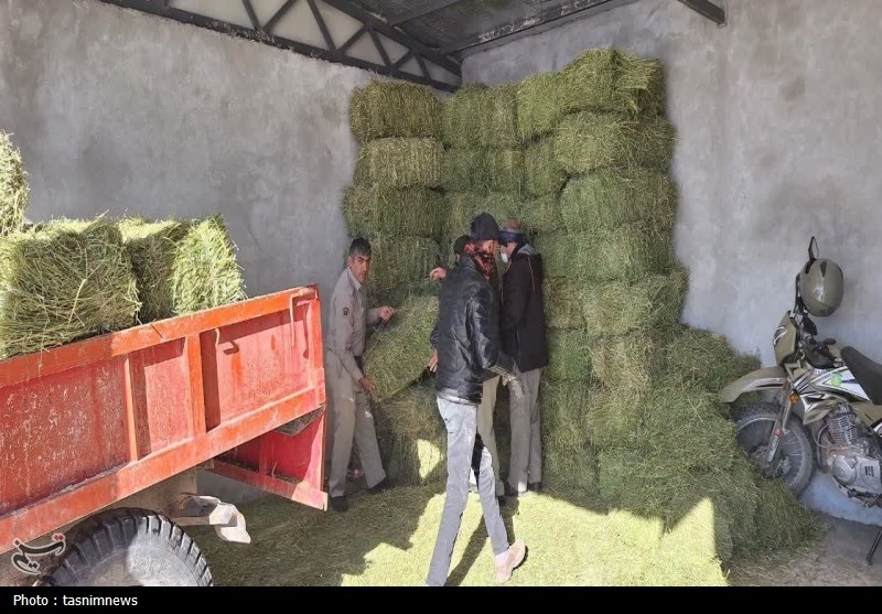 پایش و نظارت در محیط زیست , اخبار استان کهگیلویه و بویراحمد , 