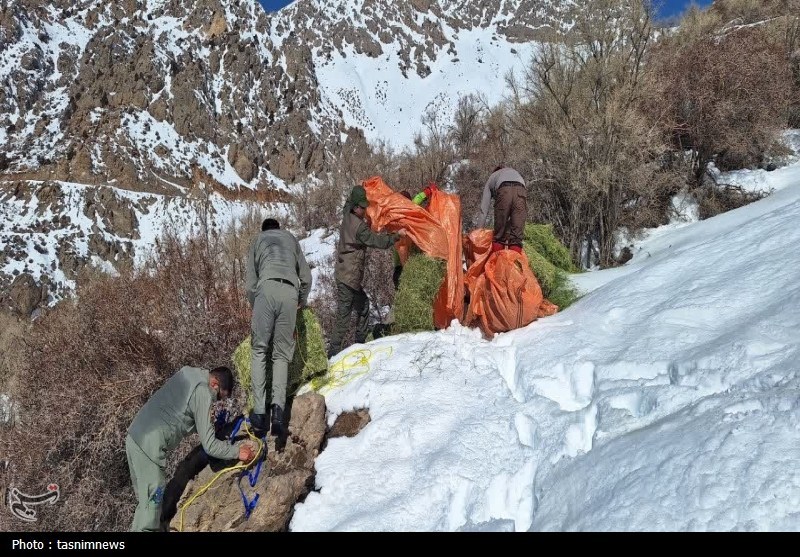 پایش و نظارت در محیط زیست , اخبار استان کهگیلویه و بویراحمد , 