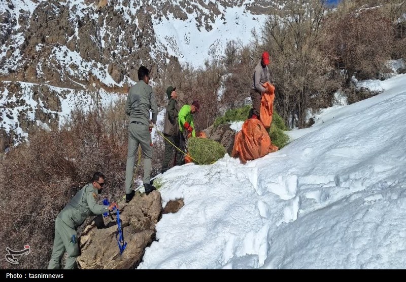 پایش و نظارت در محیط زیست , اخبار استان کهگیلویه و بویراحمد , 