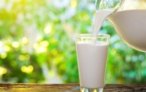 قیمت خرید شیر از دامدار 46500 تومان تعیین شد