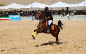 مدرسه سوارکاری در تهران راه‌اندازی می‌شو‌د