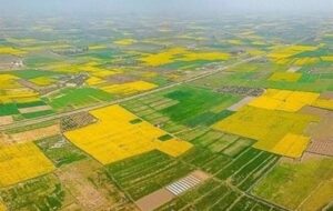 نقشه جدید کشت در لرستان با محور آب و اقلیم/ پاسخ دولت به تنش آبی