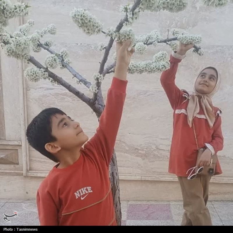 ورزش قهرمانی در کنار معلمی/ روایت موفقیت ‌بانوی کماندار زنجانی