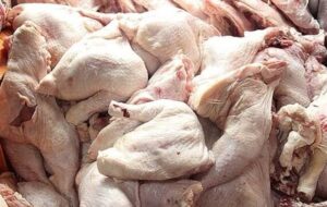 وفور مرغ با قیمت مصوب در فروشگاه‌های استان سمنان