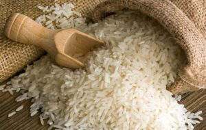 وقتی فناوری هسته‌ای پای شالیزارها آمد؛ انقلاب برنج با “طارم روشن‌‌”