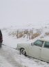 وقوع کولاک مقطعی و مه‌گرفتگی در جاده‌های کوهستانی زنجان