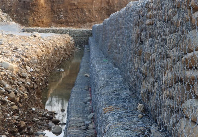 اخبار استان گیلان , کشاورزی , 