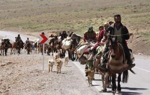 چالش‌ها و چشم‌انداز آینده زندگی عشایری؛ آیا کوچ عشایر باقی خواهد ماند؟