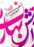 48 بقعه متبرکه در خراسان شمالی آماده میزبانی از مسافران است