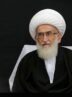 آیت‌الله نوری‌همدانی: همه پشت سر رهبر معظم انقلاب حرکت کنند‌