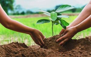 اجرای طرح ویژه حفاظت از عرصه‌های ملی سمنان در نوروز