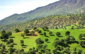 اجرای پروژه‌های آبخیزداری در 28 درصد از اراضی استان کرمانشاه