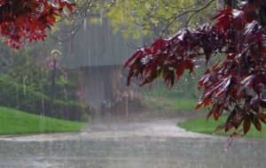 بیشترین بارندگی استان بوشهر در شهرستان جم بوشهر ثبت شد