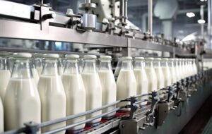 تولید سالانه 430 هزار تن شیر در کرمانشاه