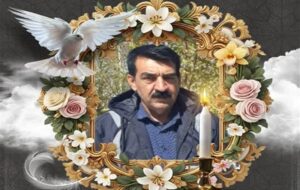 سبزبان شیرازی به کاروان شهدا پیوست