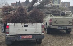 صیانت از آثار و محوطه‌های تاریخی با حساسیت کامل