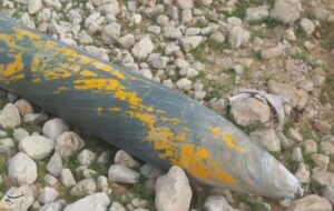 موشک آمریکایی در آسمان بهمئی منهدم شد