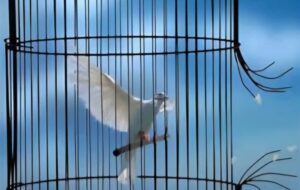آزادی 9 محکوم مالی به همت خیر نیک‌اندیش کرمانی