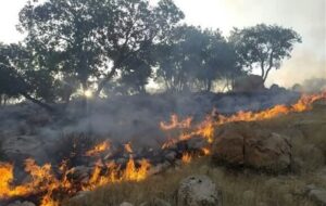 افزایش 33 درصدی وسعت حریق در اراضی مرتعی و جنگلی در چهارمحال و بختیاری