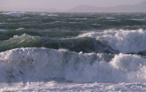 افزایش سرعت باد تا بیش از 50 کیلومتر در ساعت در استان بوشهر