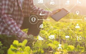 ایجاد کشاورزی هوشمند و پایدار در مازندران