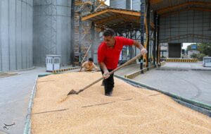 تأکید بر اجرای مصوبات پدافند غیرعامل در سیلوهای بخش خصوصی کرمانشاه