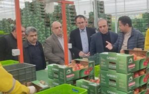 تجهیز 80 درصد واحدهای بزرگ تولیدی اردبیل به سوخت دوم