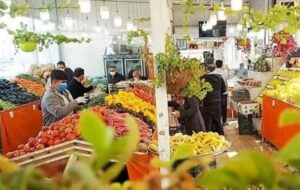 تداوم توزیع میوه تنظیم بازار و محصولات لبنی ذخیره‌شده در کرمانشاه
