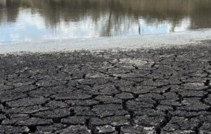 تداوم خشکسالی در استان مرکزی/ ذخایر آبی همچنان نگران‌کننده است