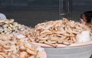 خوزستان پنجمین تولیدکننده میگو در کشور است