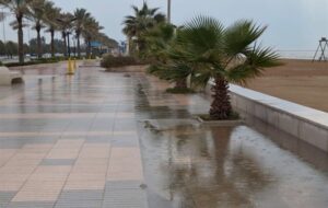 سامانه بارشی جدید تا دوشنبه در استان بوشهر فعال است