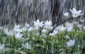 سامانه جدید بارشی وارد همدان می‌شود