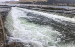 سرریز کم سابقه تالاب زریبار؛ اوج زیبایی طبیعت کردستان در بهار+تصویر